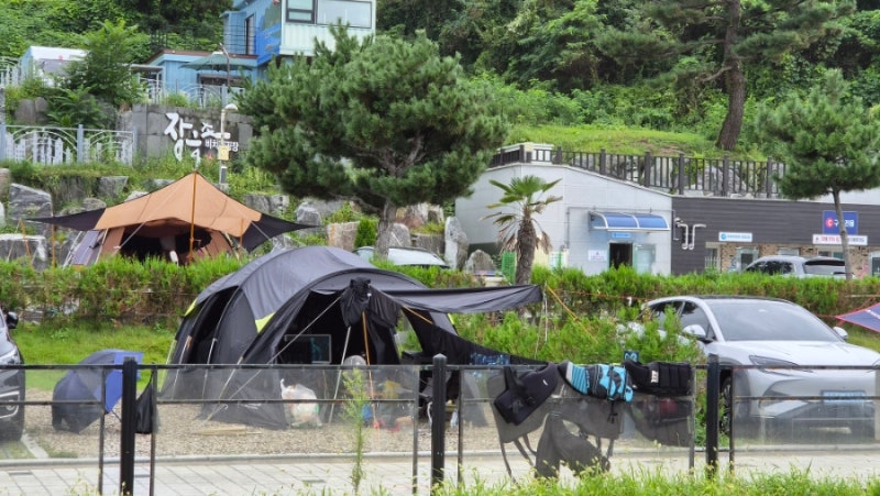 [삼척여행] 투명 바다 스노쿨링 가능한 장호해수욕장과 장호비치오토캠핑장