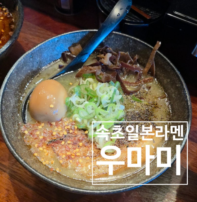 속초 영랑동 라멘 맛집 우마미｜속초 유일 토리파이탄 자가육수 라멘