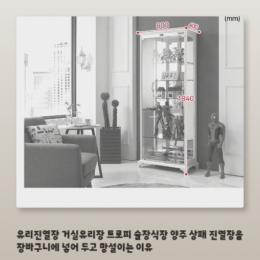 상패와 양주 보관을 위한 유리 진열장, 좁은 거실에 어울릴까