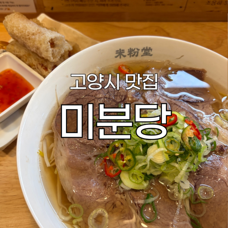 [고양시 맛집] '미분당' 후기 : 혼밥 하기 좋은 쌀국수 맛집