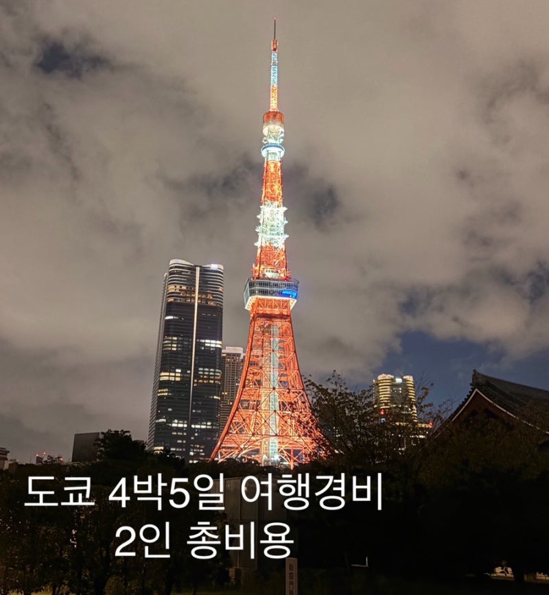 도쿄 4박5일 2인 경비 날짜별 여행코스