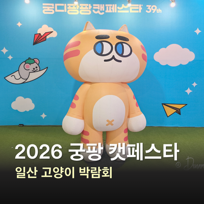 2026 궁디팡팡 캣페스타 일산, 궁팡 고양이 박람회 볼거리와 후기