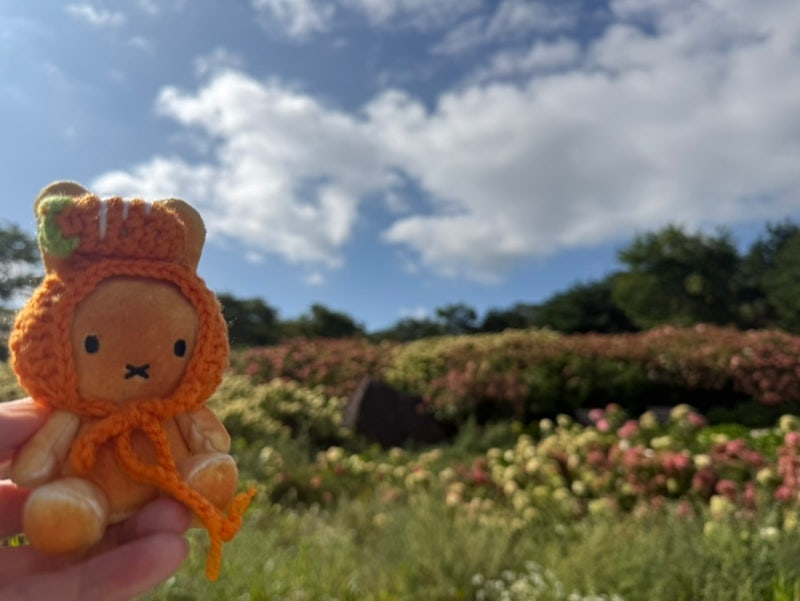 경남 합천군 가회면 황매산군립공원 수국정원