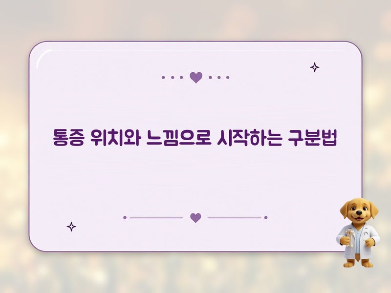발목 통증 양상으로 구분하는 힘줄염 vs 건초염 기준, 반복 운동 시 악화 이유