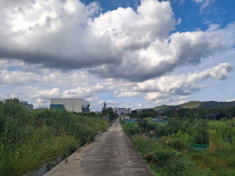 예산 깎으면 보복 받는다.
