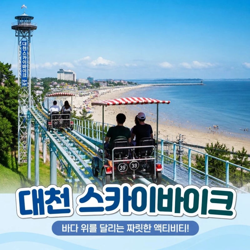 대천해수욕장 놀거리 총정리 레일바이크 스카이바이크 액티비티 추천