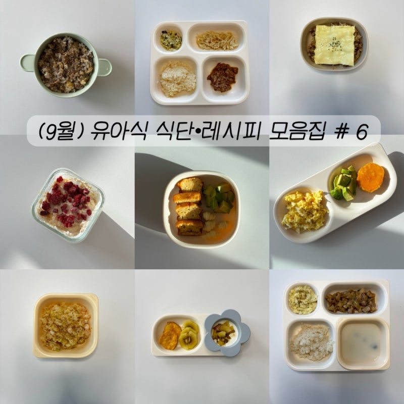 금주의 유아식 메뉴 : 9월 2주차 식단표&레시피 공유ㅣ16개월 유아식 아침•한그릇•반찬