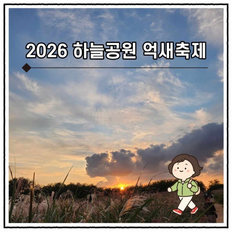 2026 하늘공원 억새축제 일정 총정리｜서울억새축제 가을 나들이