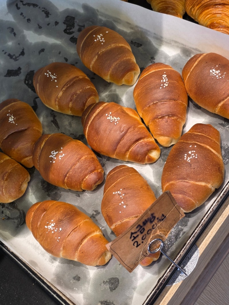 대전 빵지순례 소금빵 맛집 2곳 성심당 극동제과 내돈내산 비교