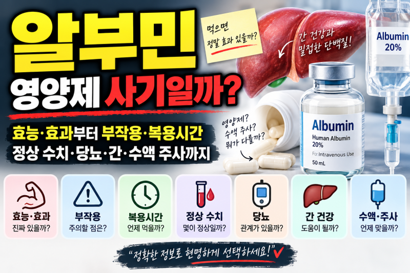 알부민 영양제 사기일까? 효능·효과부터 부작용·복용시간·정상 수치·당뇨·간·수액 주사....