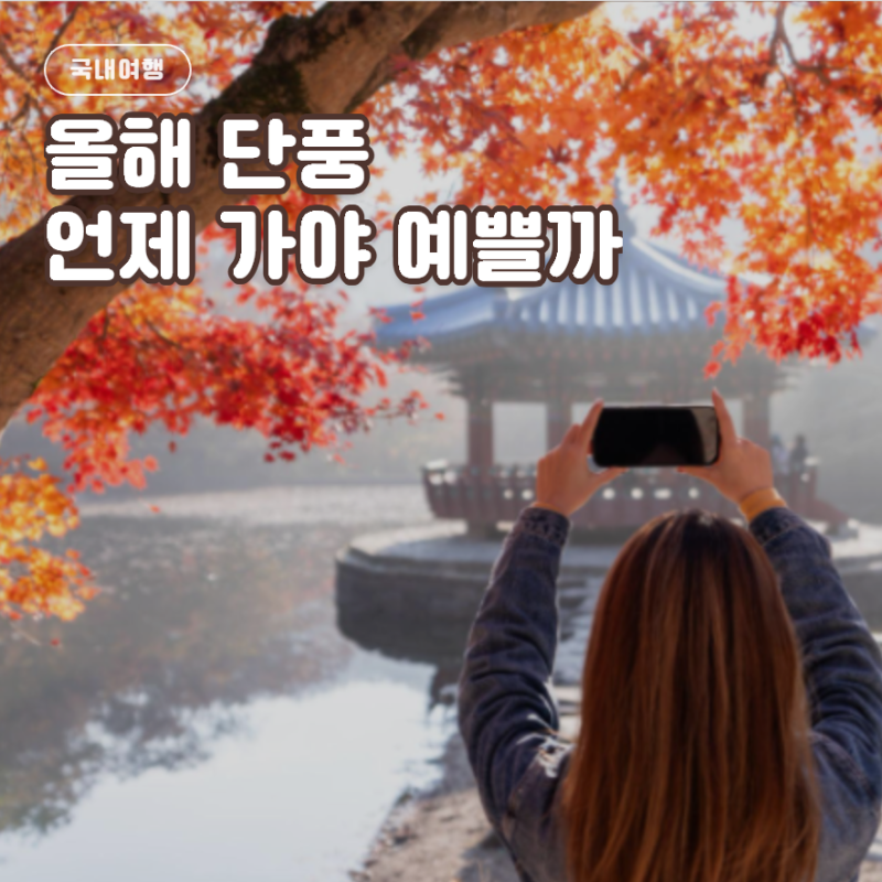 2026 단풍시기 언제? 서울 경기도 강원도 첫단풍 절정시기