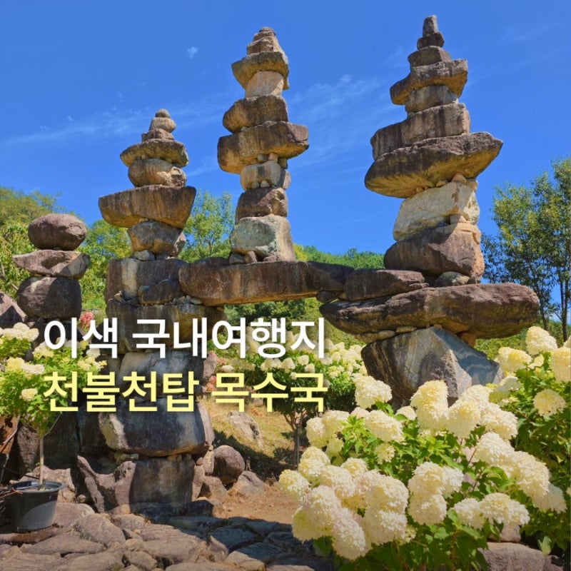 이색 국내여행지 합천 천불천탑 목수국 실시간