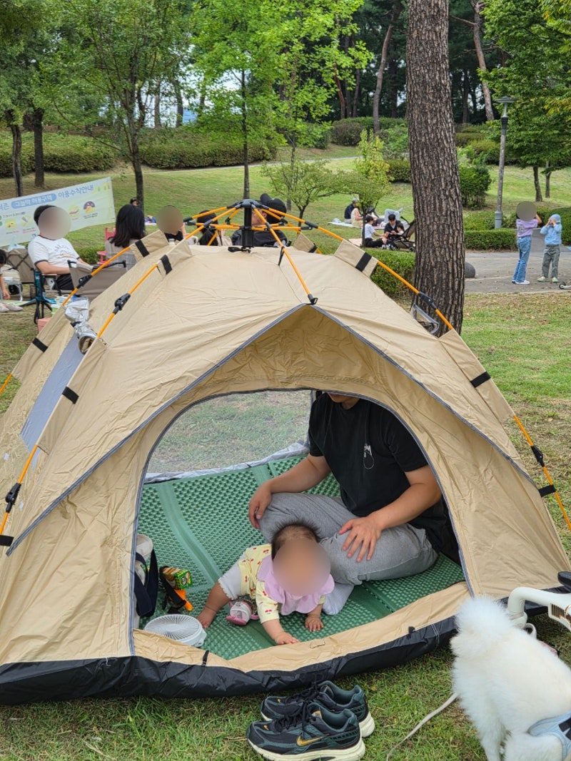 광교호수공원 피크닉존 위치 명당 주차 꿀팁 아기랑 다녀온 후기