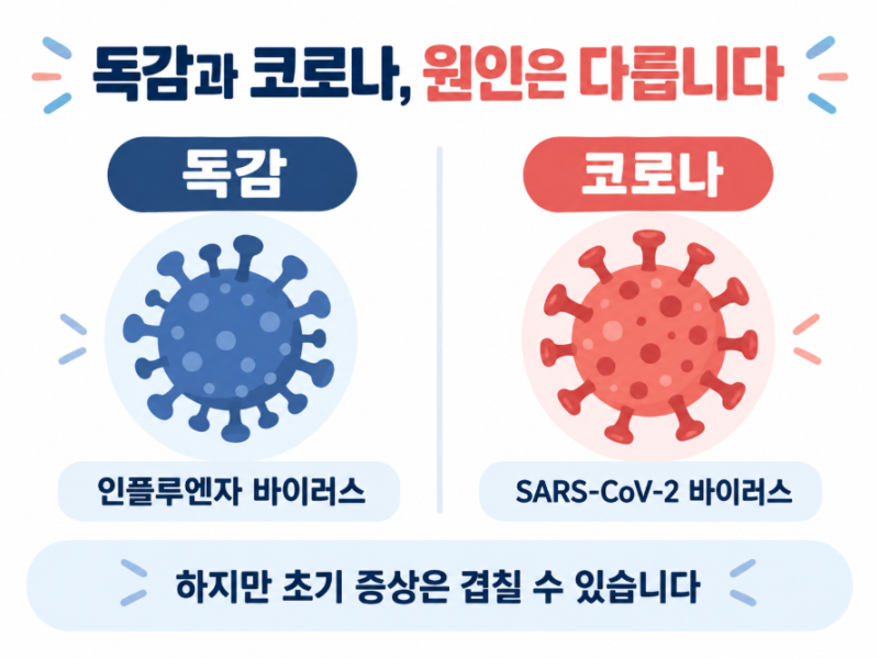 독감·코로나 동시 유행, 증상만으로 구분될까? 검사·치료·등교 기준 정리