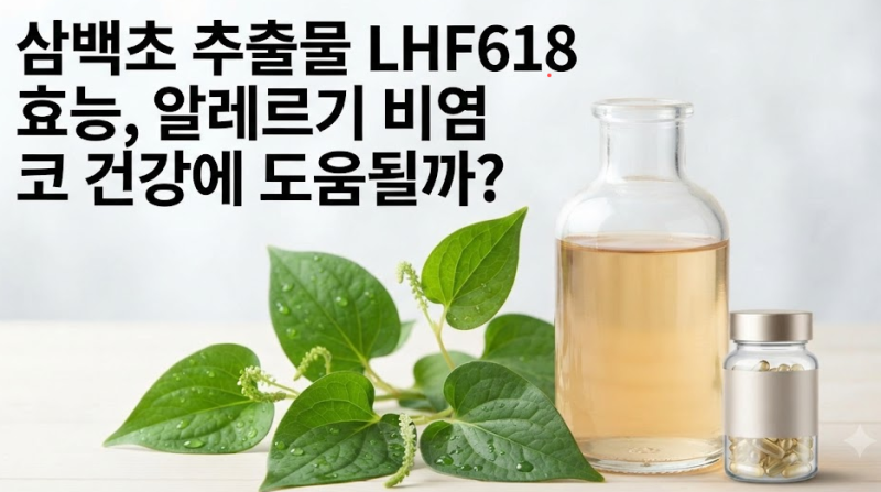 삼백초 추출물 LHF618, 알레르기 비염 코 건강에 도움될까?