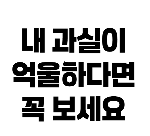 자동차보험 과실비율 이의신청 방법, 억울할 때 이렇게 확인하세요