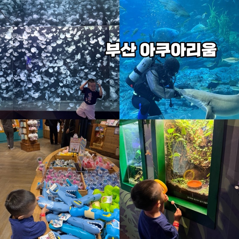 부산 실내 동물원 데이트 놀거리 해운대 아쿠아리움 입장권 할인