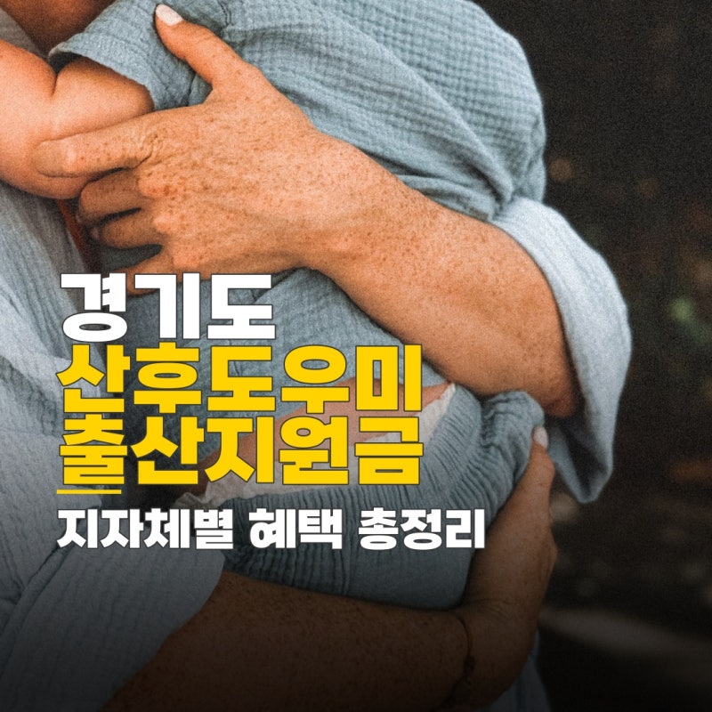 산후도우미 라형 기준, 경기도 지자체별 지원금 비교와 신청 방법