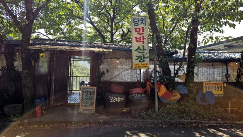 구례 당치민박산장 지리산 산속에서 먹는 산닭구이와 산나물 한상