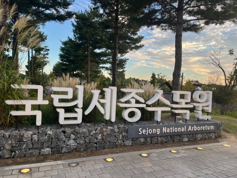 국립세종수목원 야간개장 강력 추천 후기(+앙리 마티스, 문화행사)
