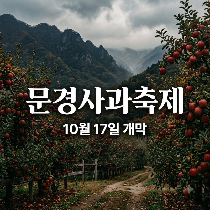 "올해는 며칠부터?" 문경사과축제일정 드디어 공개, 꿀사과 쏟아지는 날짜는..