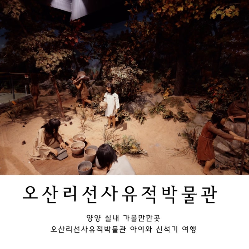 양양 아이와 실내 가볼만한곳 오산리선사유적박물관 꼭 보고 오면 좋은 것 추천