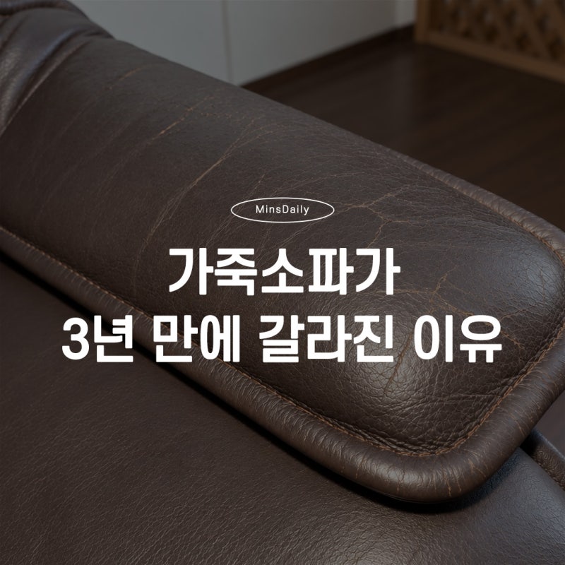 가죽 소파 3년 만에 갈라진 이유, 알고 보니 관리 순서가 문제였어요