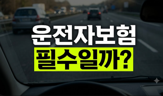 운전자보험 꼭 필요할까? 자동차보험과 차이점 비교