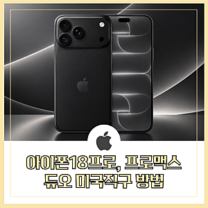 아이폰 18프로, 18프로맥스, 아이폰 듀오 애플 공홈 미국 직구방법