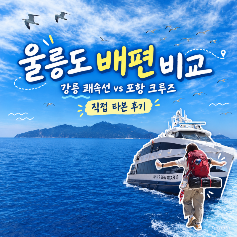 울릉도 배편 비교｜강릉항 쾌속선·포항 울릉크루즈 직접 타본 후기