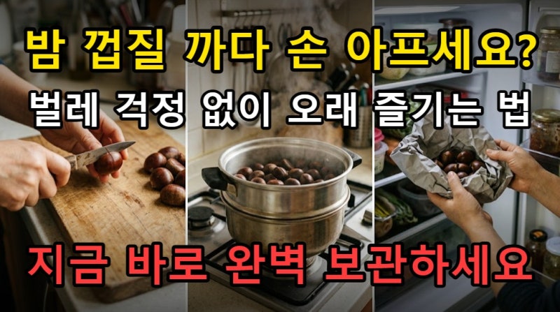 밤 삶는 시간 보관하는 방법, 껍질 잘 까고 벌레 없는 냉장 냉동 정리