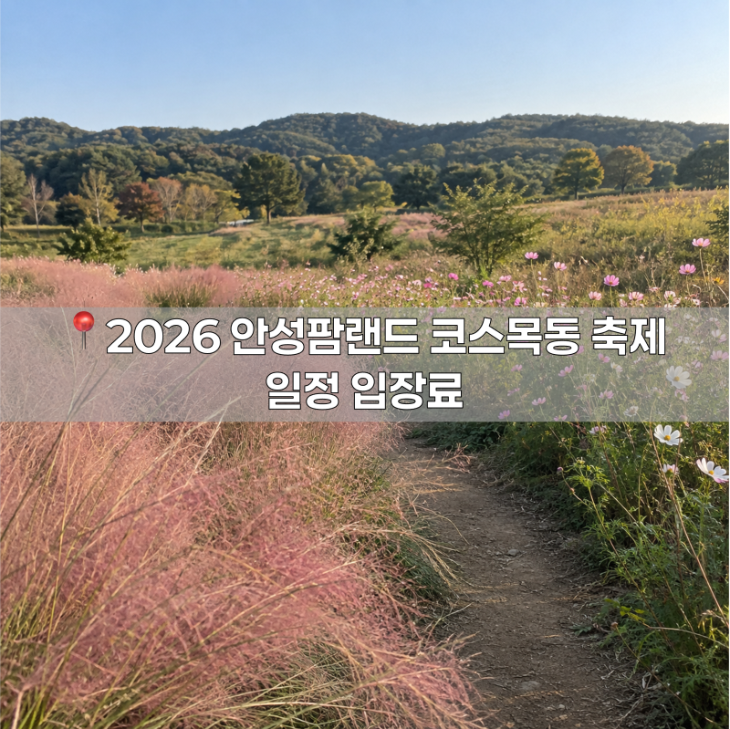 안성팜랜드 핑크뮬리 코스모스 둘 다 보고 싶어서 찾아본 2026 가을꽃 일정