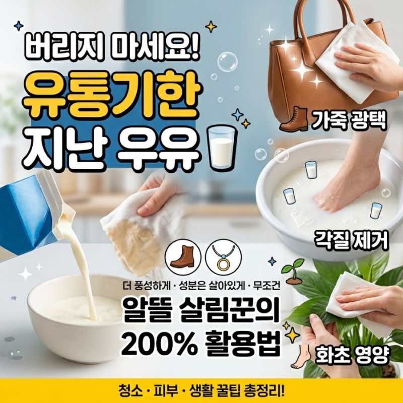 [생활꿀팁] 버리지 마세요! 유통기한 지난 우유 200% 활용법 총정리 ✨