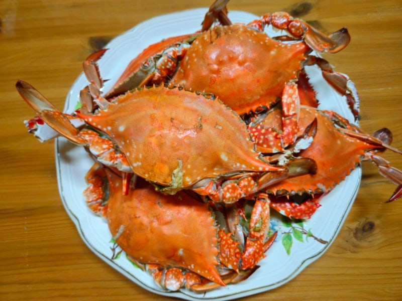 가을 꽃게찜 하는법 꽃게찌는법