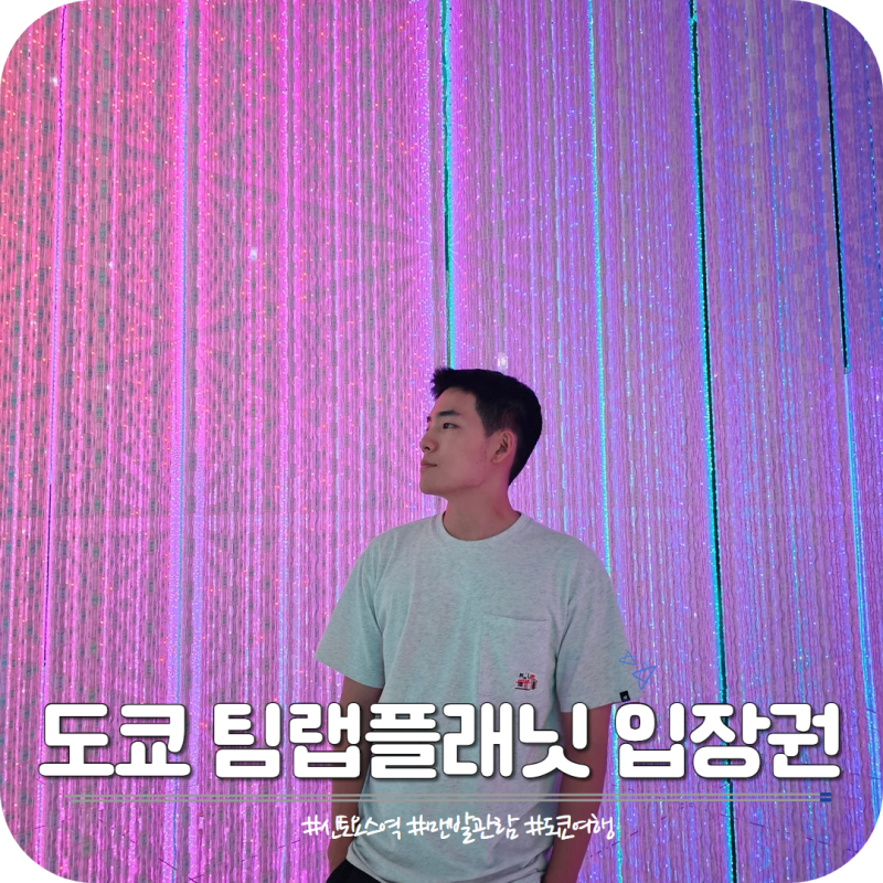 도쿄 팀랩플래닛 입장권 가격 시간 가는법과 관람 후기