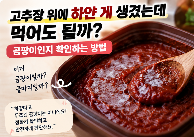 고추장 위에 하얀 게 생겼는데 먹어도 될까?｜곰팡이인지 확인하는 방법