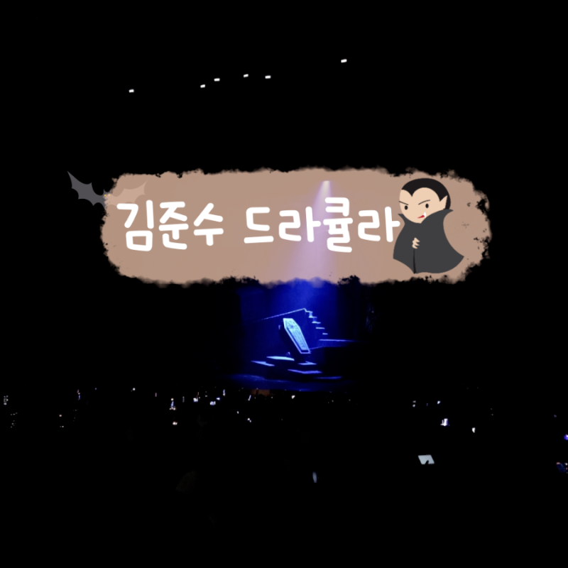 드라큘라 김준수 뮤지컬 샤쿨 lg아트센터 서울 1층 17열 좌석 시야 커튼콜데이 영상