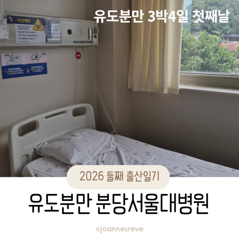 분당 서울대학병원 출산일지(1일째)_유도분만 시작