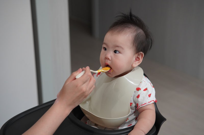 단호박 이유식 큐브 만들기, 찌는법과 전자렌지 사용까지 총정리