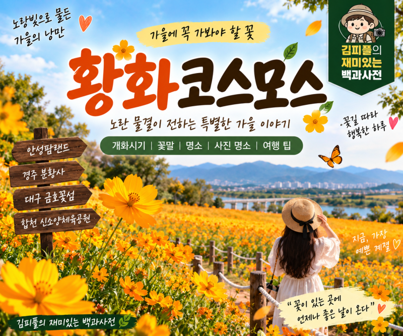 황화코스모스 개화시기 총정리｜꽃말·일반 코스모스 차이·2026 명소