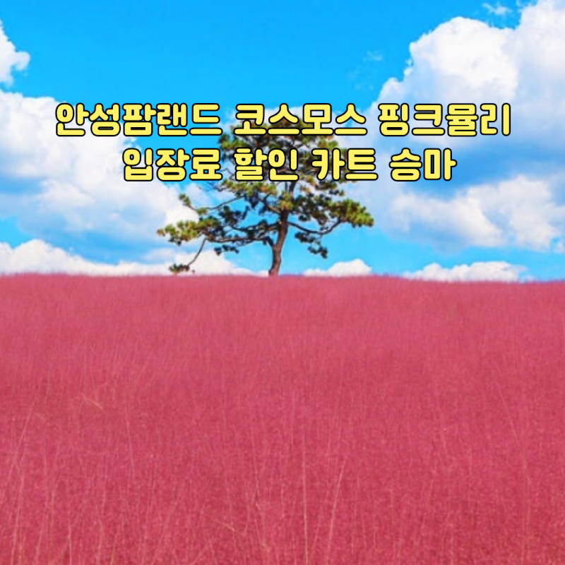 안성팜랜드 9월 10월 코스모스 핑크뮬리 입장료 할인 카트 승마 아이와 가볼만한 곳 추천