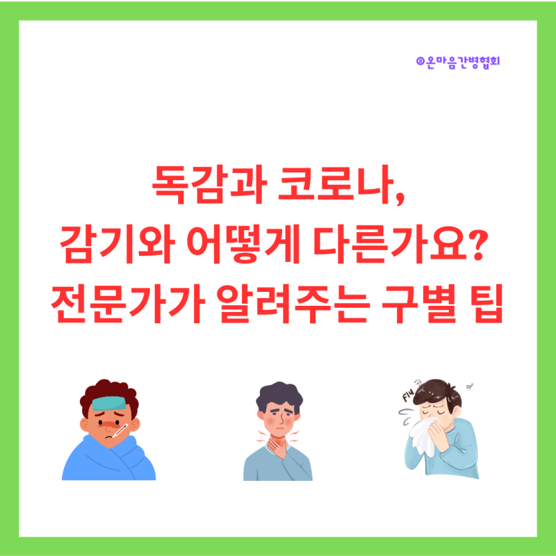 감기 독감 코로나 차이점, 증상 구별법과 면역력에 도움되는 음식 총정리