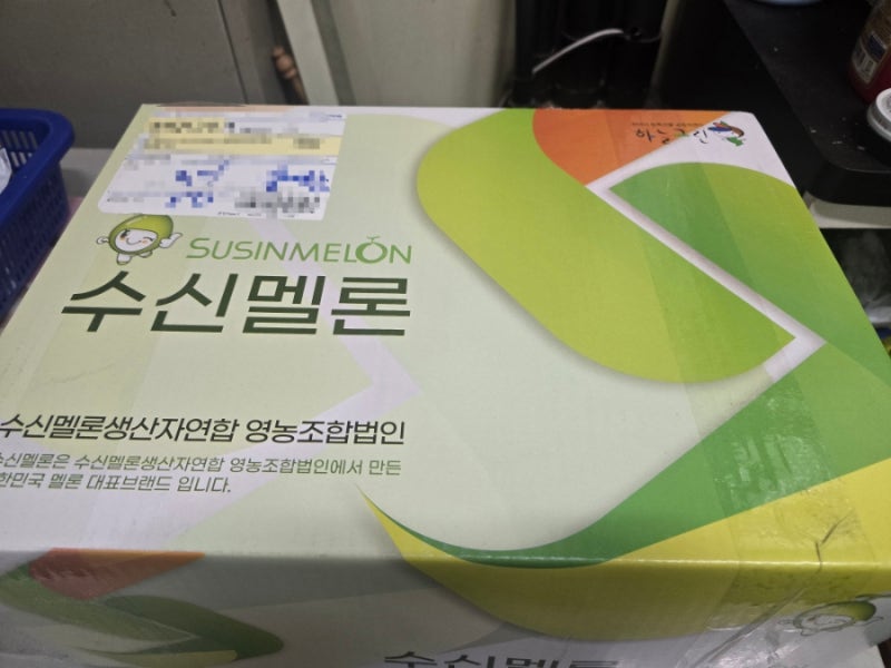 수신멜론 | 신품종 설원 후기