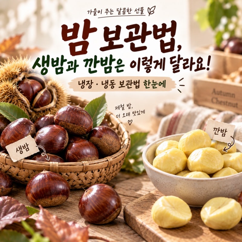 밤 보관법, 생밤과 깐밤은 이렇게 달라요!