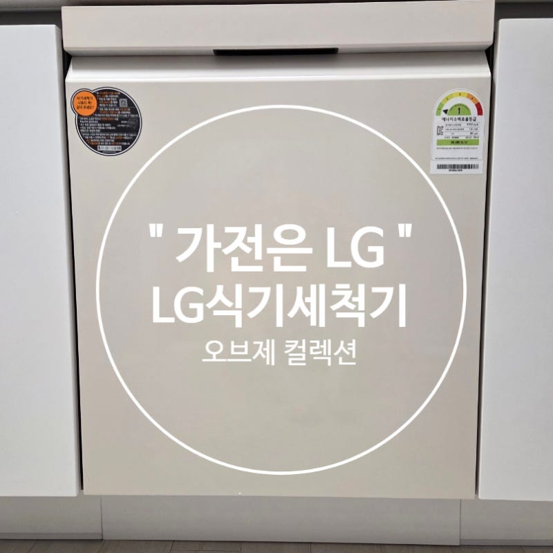 LG 디오스 오브제컬렉션 식기세척기 14인용 삼성 8년 쓰고 바꾼 후기