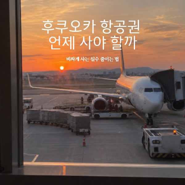 후쿠오카 항공권 언제 사야 할까 비싸게 사는 실수 줄이는 법