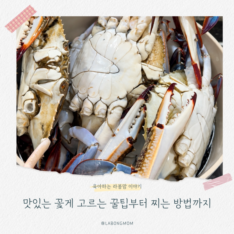 수산시장 사장님이 알려준 꽃게 고르는법과 찌는시간
