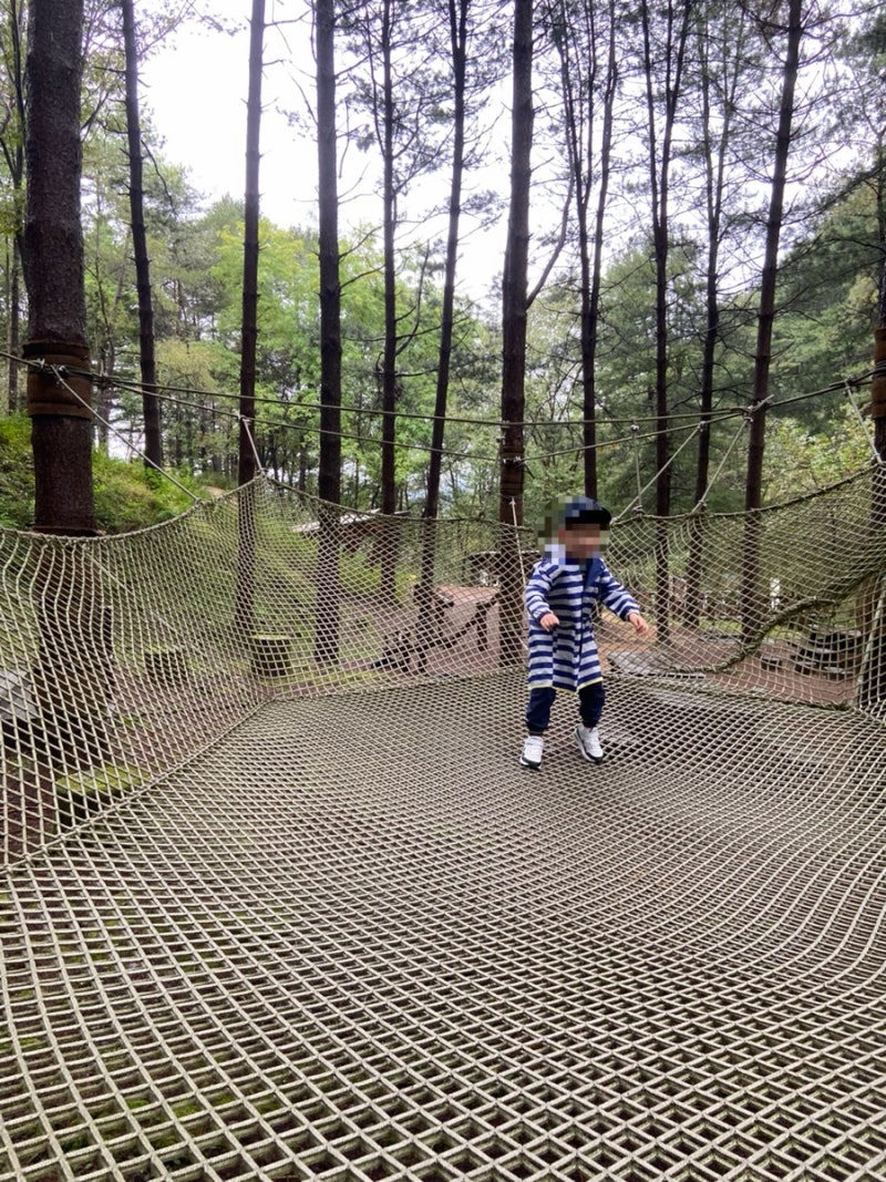 강원도 무료 숲놀이터 아이와 가볼만한 홍천 남산 유아숲체험원