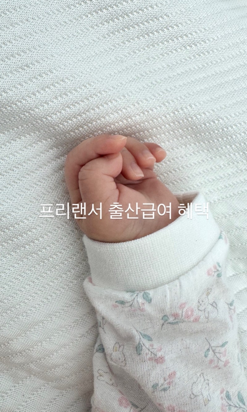 정부지원금 프리랜서 150만원 출산급여받는법 /블로그 애드포스터 고용보험 미적....