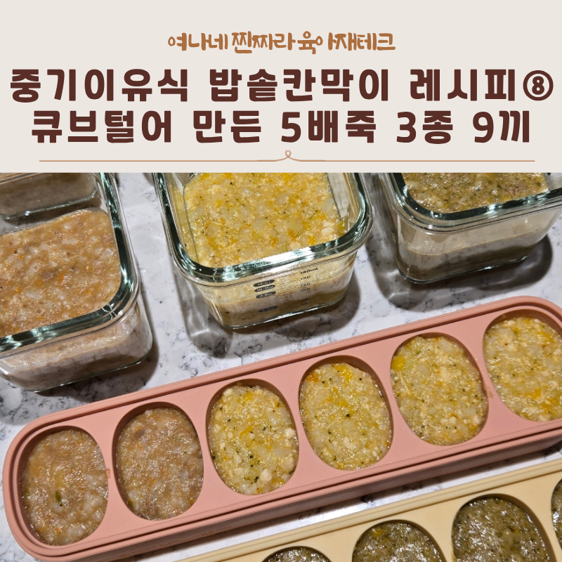 [중기이유식] 밥솥칸막이 레시피⑧ 큐브털어 만든 5배죽 3종 9끼